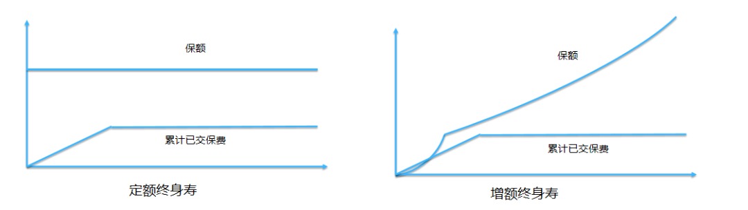 同樣的保障為什么我買的壽險(xiǎn)貴了10倍？