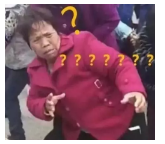 為什么不買保險(xiǎn)就不讓養(yǎng)狗？