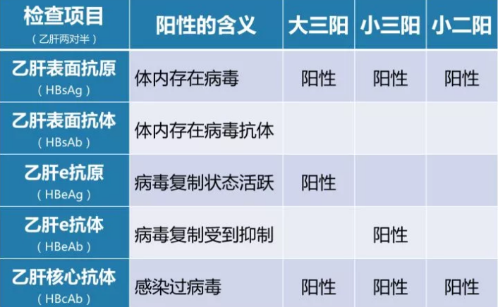 乙肝病毒攜帶者應(yīng)該如何正確投保?